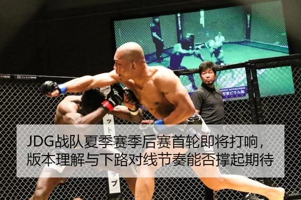 JDG战队夏季赛季后赛首轮即将打响，版本理解与下路对线节奏能否撑起期待